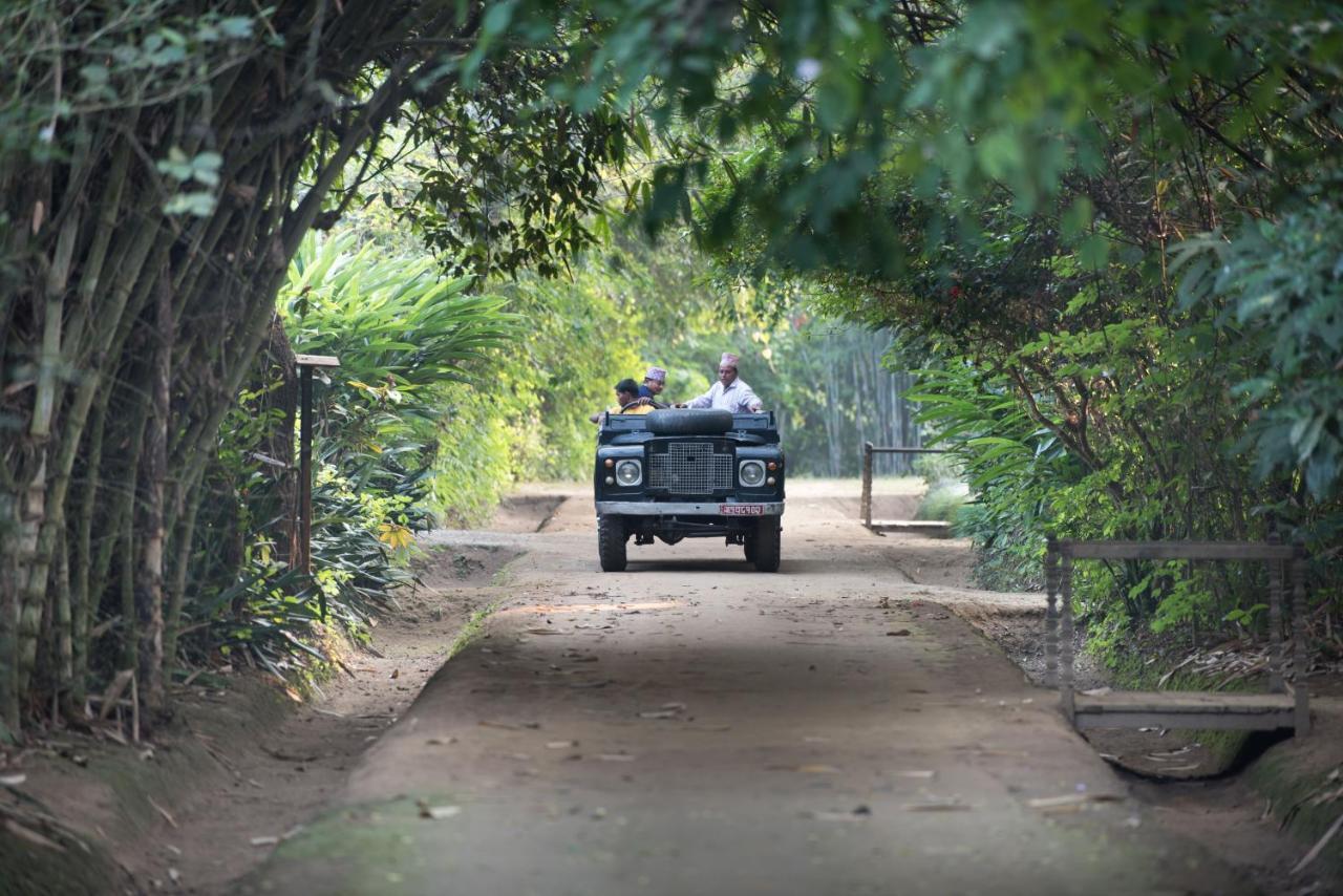 Tiger Tops Tharu Lodge Chitwan Esterno foto
