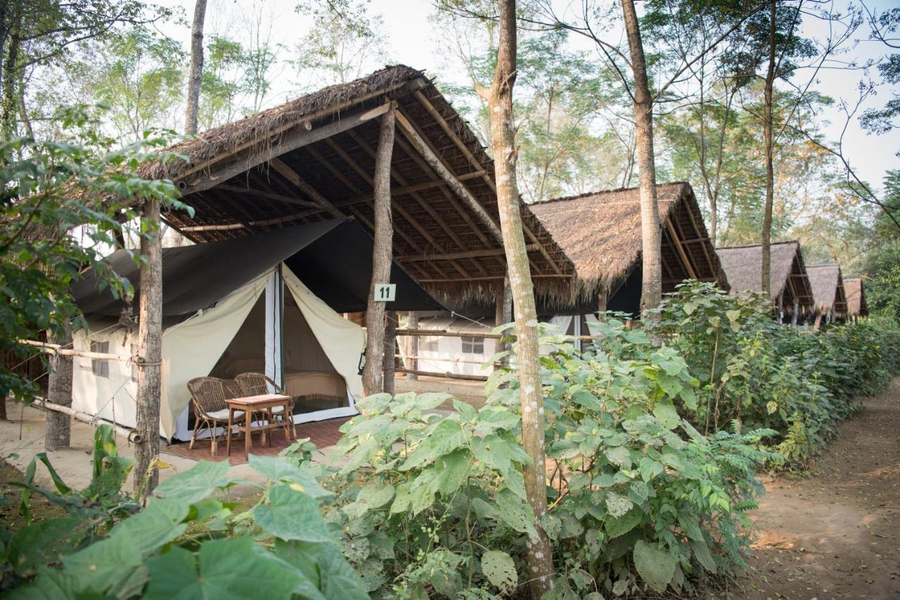 Tiger Tops Tharu Lodge Chitwan Esterno foto