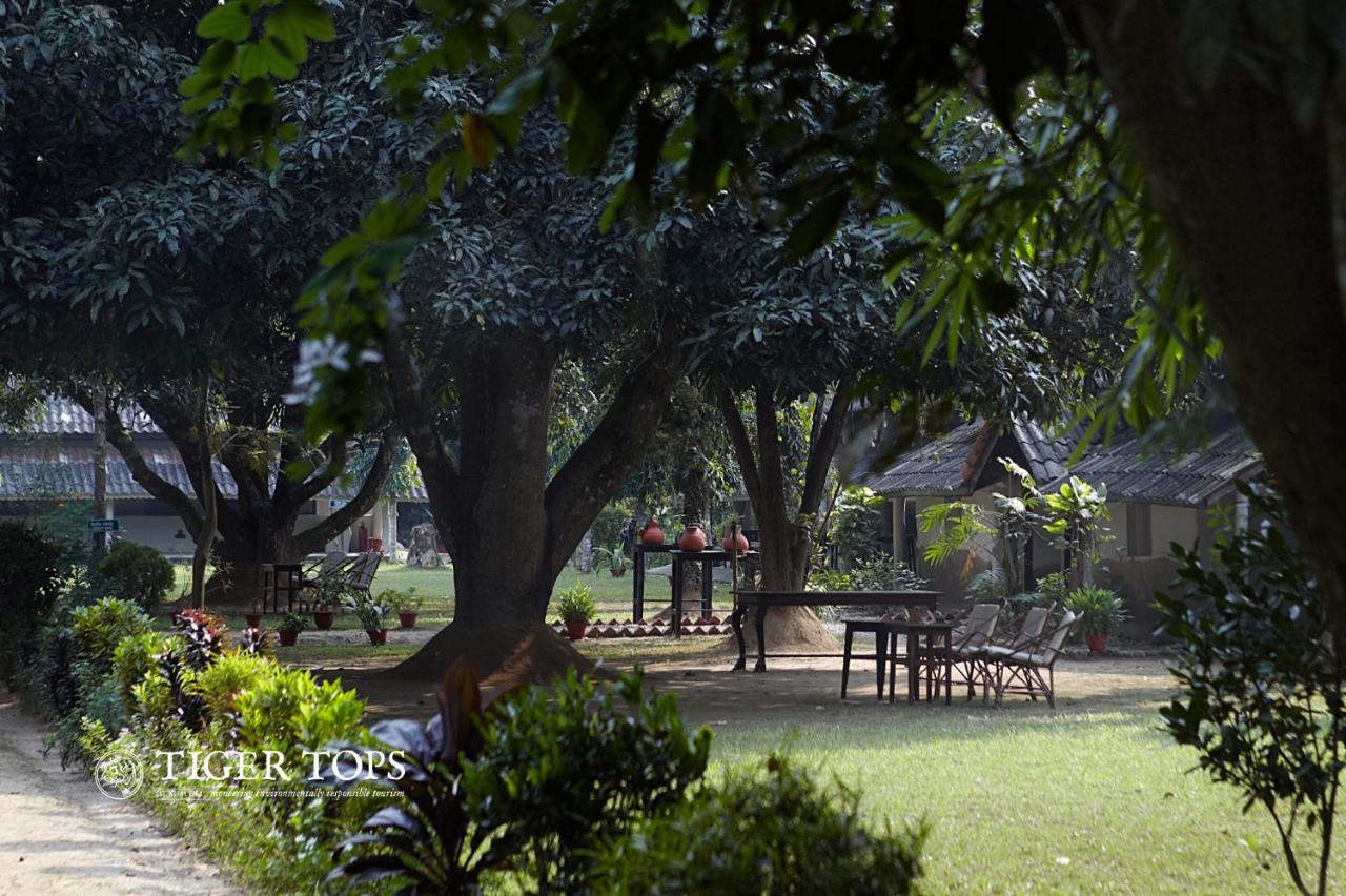 Tiger Tops Tharu Lodge Chitwan Esterno foto