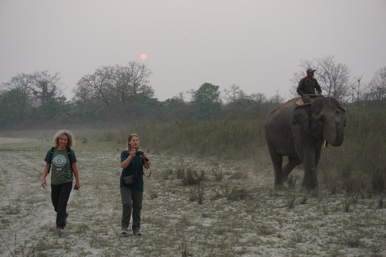 Tiger Tops Tharu Lodge Chitwan Esterno foto