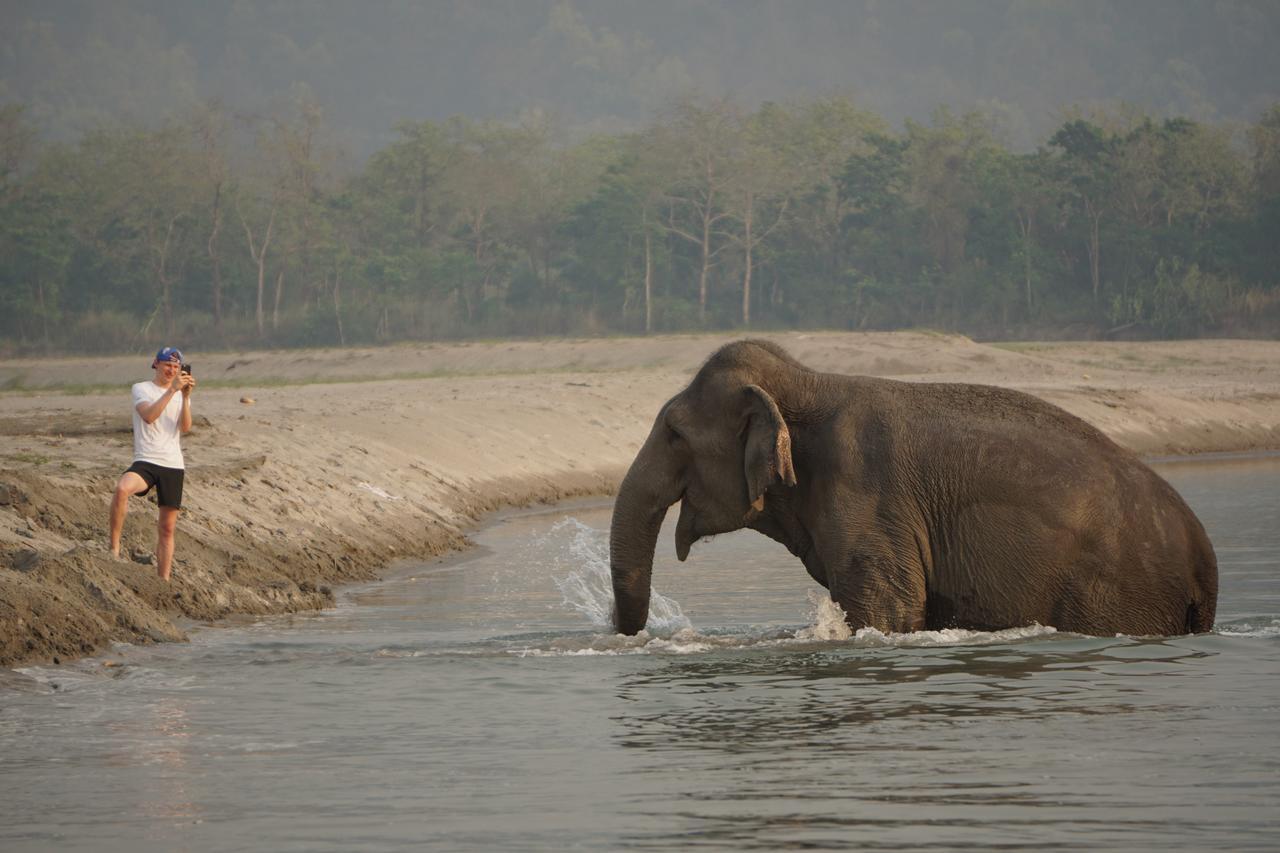 Tiger Tops Tharu Lodge Chitwan Esterno foto