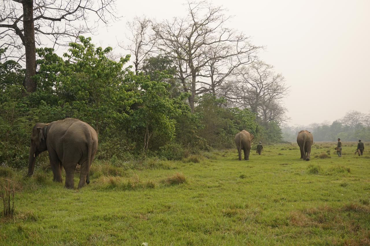 Tiger Tops Tharu Lodge Chitwan Esterno foto