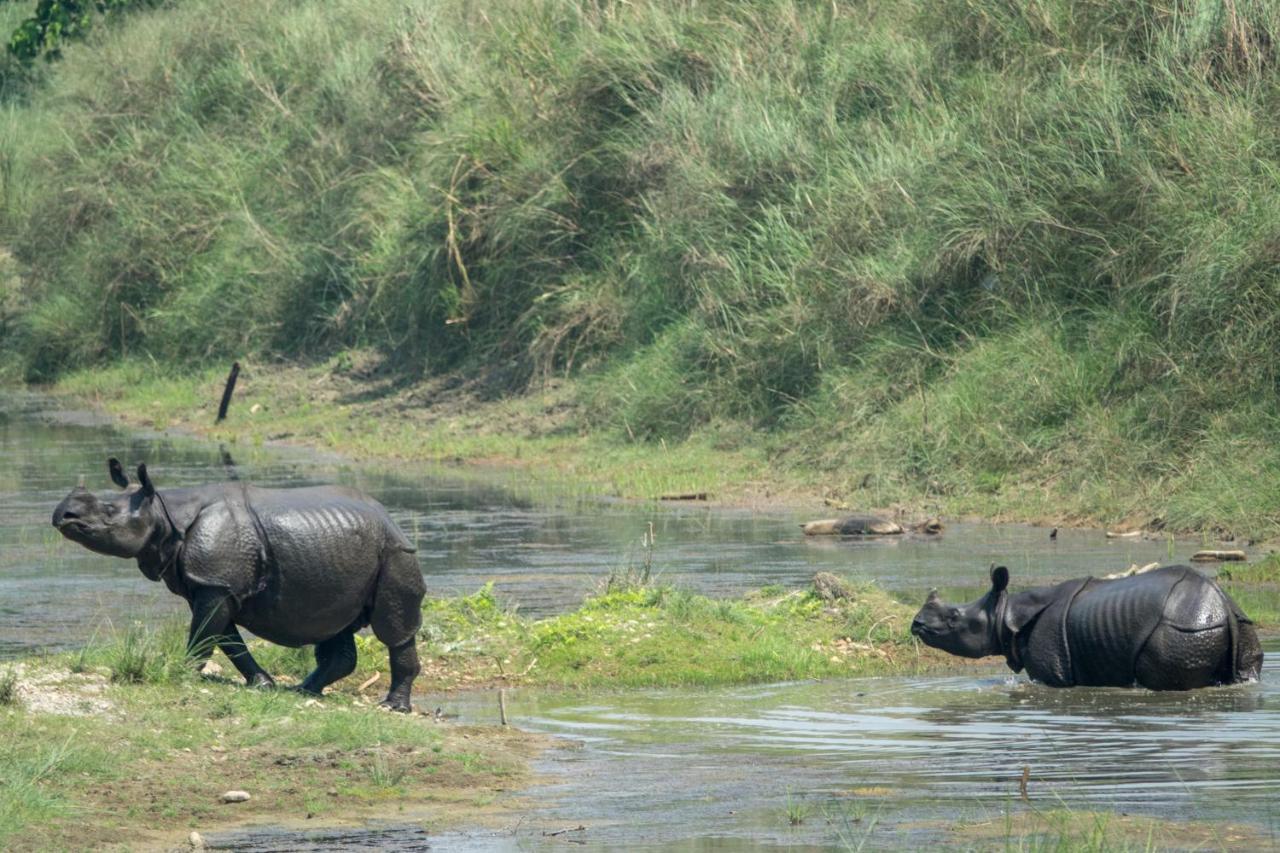 Tiger Tops Tharu Lodge Chitwan Esterno foto