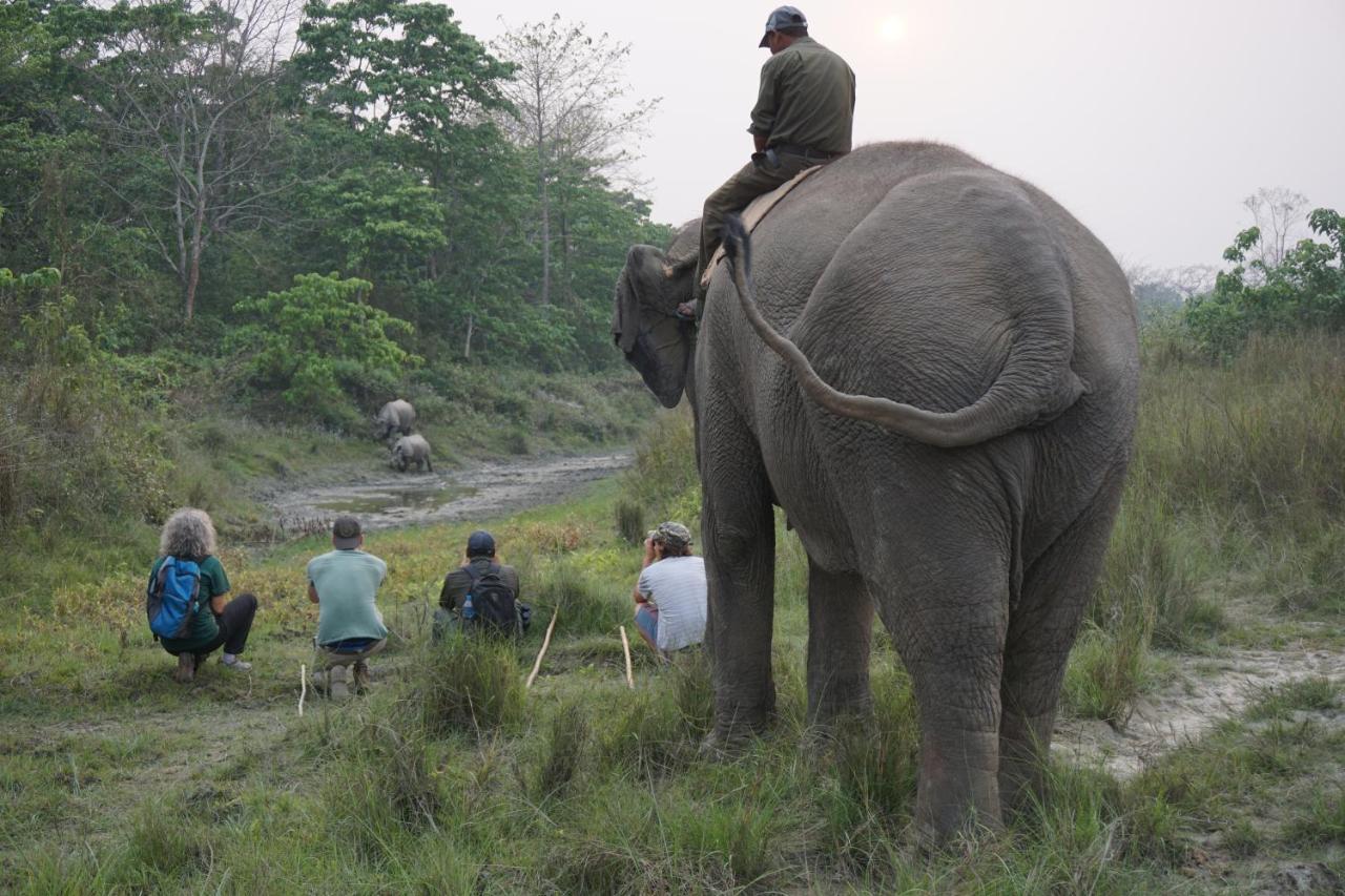 Tiger Tops Tharu Lodge Chitwan Esterno foto